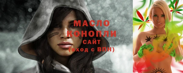дживик Пестово