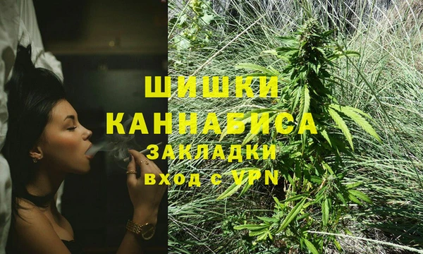дживик Пестово