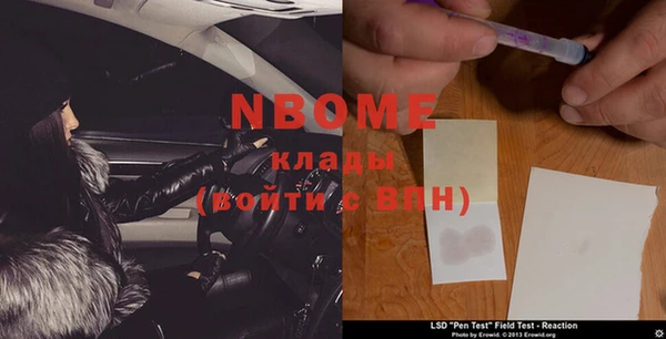 дживик Пестово