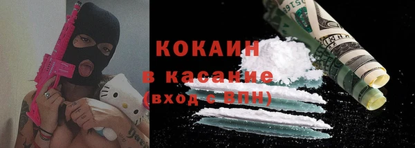 дживик Пестово
