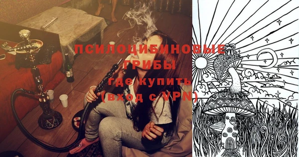 apvp Переславль-Залесский