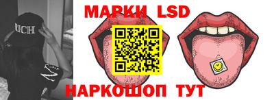 гидропоника Можга