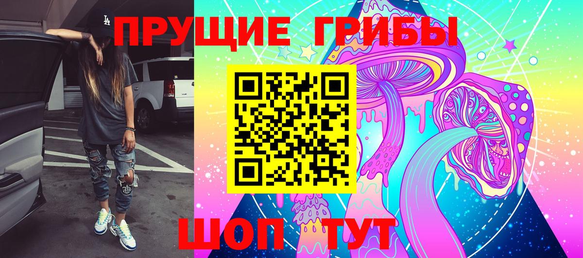 Братск  Псилоцибиновые грибы мицелий  Вход с VPN  Галлюциногенные грибы GOLDEN TEACHER 